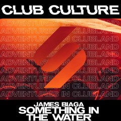 Something In The Water (Extended Mix) [STRESS RECORDS]