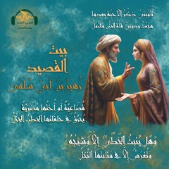 بيت القصيد | زهير بن أبي سُلمى.. شاعر أمدح وأصدق وأبين بيت