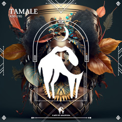 ADD (FR) - Tamale [Cafe De Anatolia]