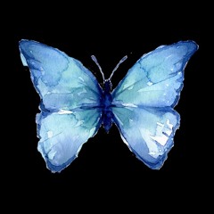 Like Butterflies