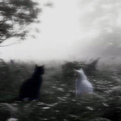 Yearn For You (Shadow)