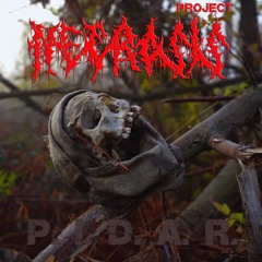 NECROSIS Project - P.I.D.A.R. (ukr Version)