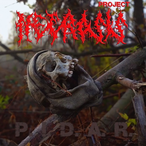 NECROSIS Project - P.I.D.A.R. (ukr Version)