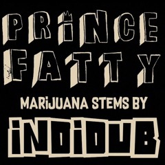 I LOVE MARIJUANA Prince Fatty Stems - live dub mix by INDIDUB