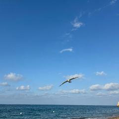 Vento De Outono(Autumn Wind)