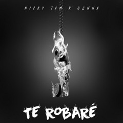 Te Robare x La Plena x Se Menea (DIRTY SOU Mashup)