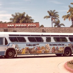 The Zoo