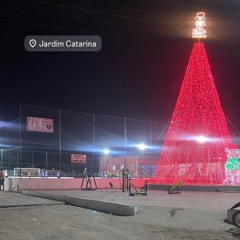 30 MINUTOS BAILE DO JARDIM CATARINA VELHO VS NOVO 🦆🇦🇴