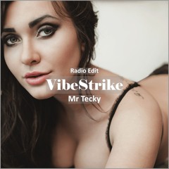 Mr Tecky - VibeStrike [ Tech House Music]