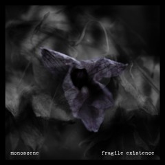 Monoscene - "Fragile Existence"