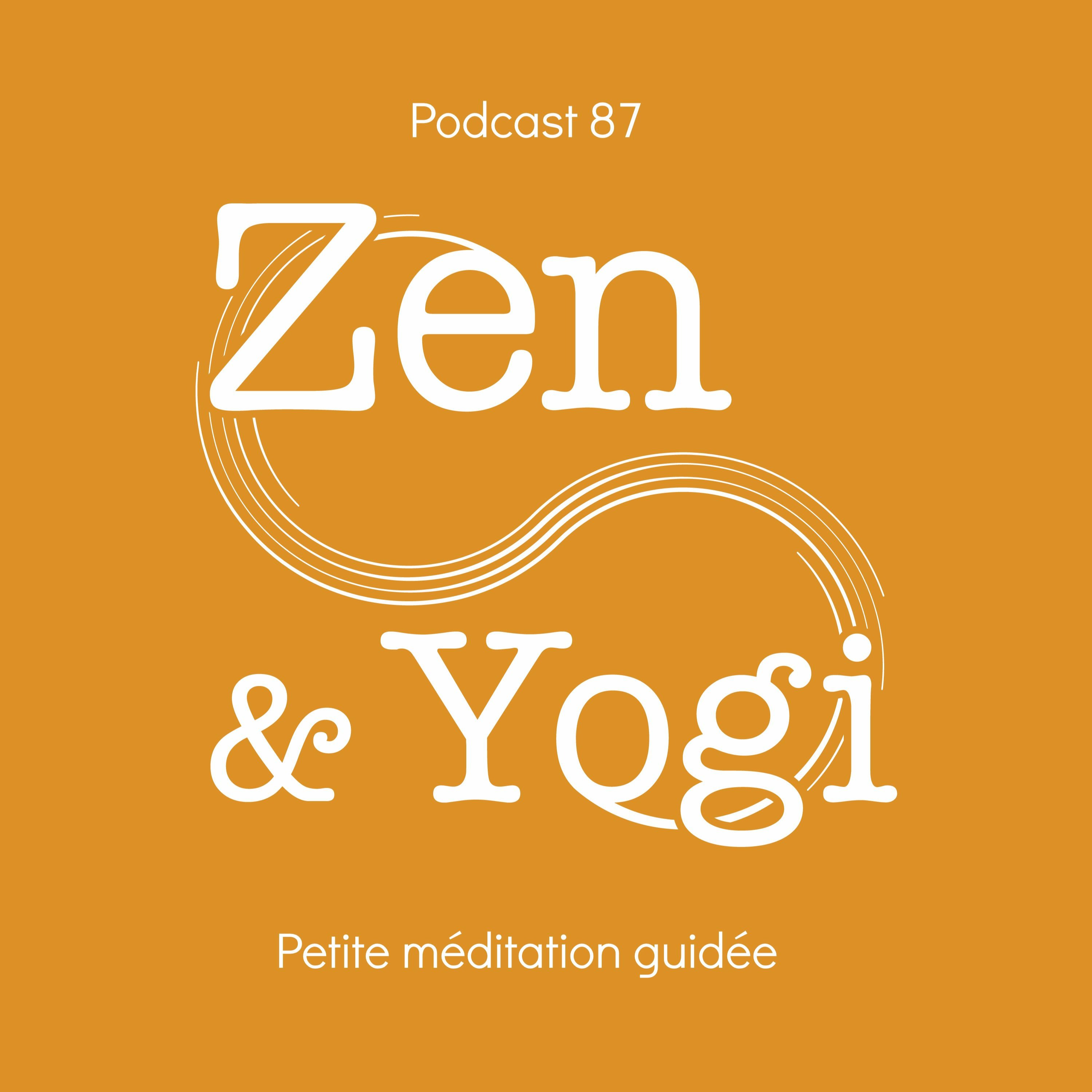 Podcast 87 Petite méditation guidée