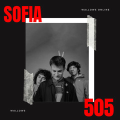 Wallows - Mashup (Sofia x 505)