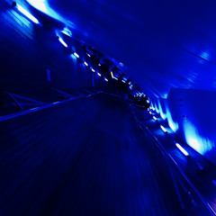 ストレイシープ