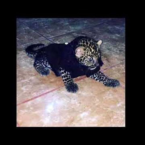 carlos alejandre - juan pistolas