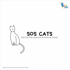 4. SOS Cats with Isabella, Sophia, and Victor