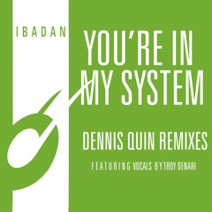 You're in My System (Dennis Quin Vocal Mix) [feat. Troy Denari]