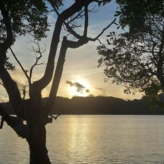 𝓕𝓪𝓵𝓵𝓲𝓷' 𝓐𝓰𝓪𝓲𝓷 𝐘ᵃᵗᵗᵃ 𝐁ᵃⁿᵈᶻ 𝒇𝒕.  𝓣𝓪𝓽𝓲𝓪𝓷𝓪 𝓜𝓪𝓷𝓪𝓸𝓲𝓼