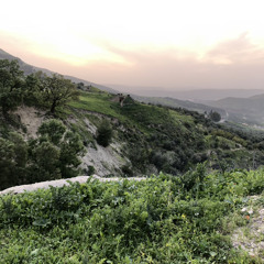 عبدالرحمن دمشقيه الواقعه