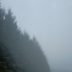 Of One - Today Everything Changed