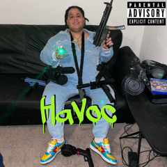 Havoc (prod. nategoyard)