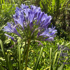 Novos caminhos - Demo 3