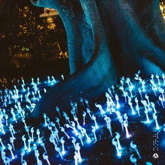Worldtraveller x Viktor Minsky - Night Glow