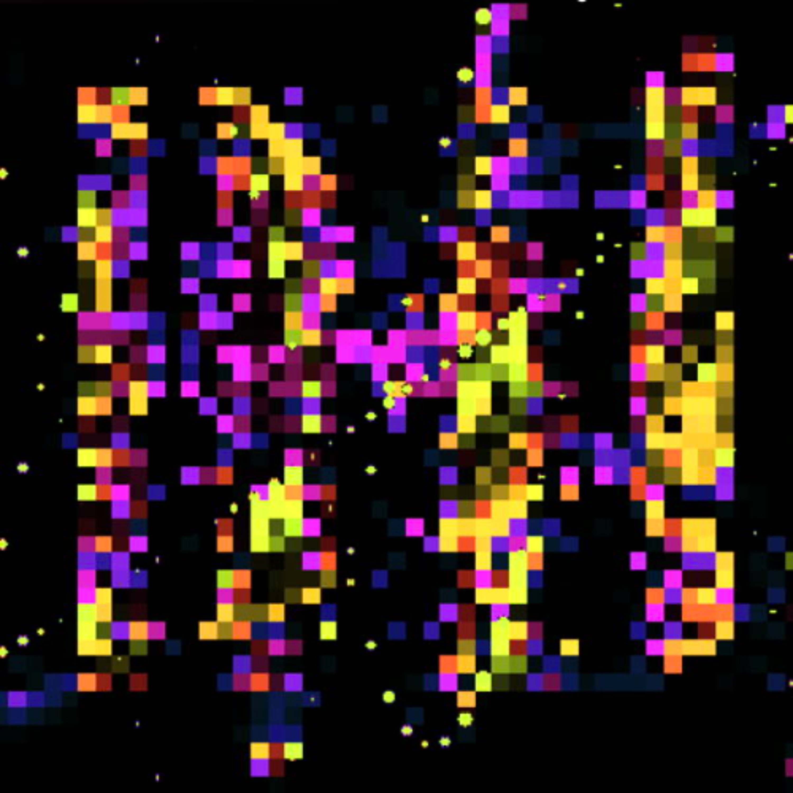 PLATO & the Western Tradition