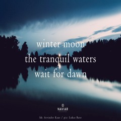 halF mooN [naviarhaiku468]