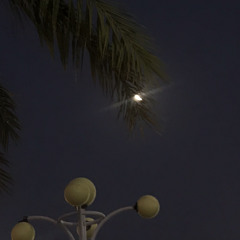 ‎⁨‏ثـوب الدنَس ياعشيري..مايفصلّي  ‏ماهو مقاسٍ علي ولا على أمثالي.⁩