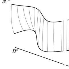 extrinsic constraint