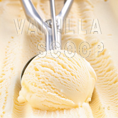 Vanilla Scoop