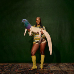 doechii-nissanaltima(dirtydovesedit)