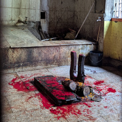 Vibrations Beneath Bagalamukhi