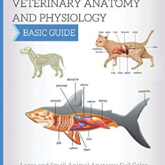 FREE PDF 📥 Textbook of Veterinary Anatomy and Physiology: Large and Small Animal Ana