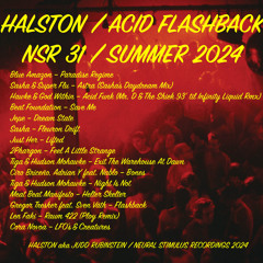 ACID FLASHBACK / NSR 31 / SUMMER 2024