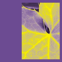 Closer (single)