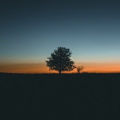 وما الحياةُ سوى حُلمٍ ألمَّ بنا - عصام العطار