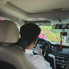 Hệ Nước 17 - Pino ( Tươi)