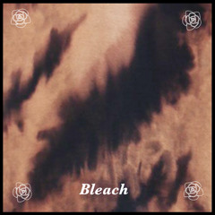 Bleach