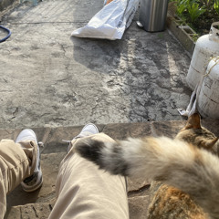 Seen it prod teenslug