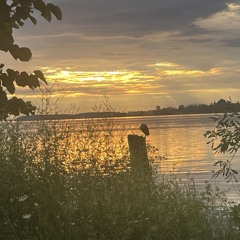 Slick feat. thegraycanary demo WIP