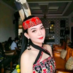 DJ BUNGSU  RUSA X SAPE DAYAK(DJ CAPTAIN)REG DJ HABIB