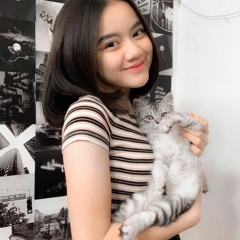 CSLB REBORN [©MR.LOOP™•Tude]