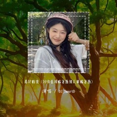 DJ_SmartD - 最好的我 (DJ你低头喝着酒别只顾喝着酒)「在乎什么天长地久 我只在乎你想不想要拥有」【動態歌詞/pīn yīn gē cí】#DJSmartD #最好的我 #動態歌詞