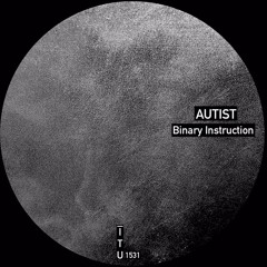 autist - Binary Instruction [ITU1531]