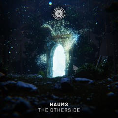 Premiere: HAUMS - The Otherside (Weird Sounding Dude Remix) [Quantum Feels]