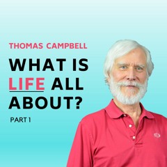 The BIG Theory of EVERYTHING: Consciousness, Reality, Healing, Fear, Afterlife PT 1 w/ Tom Campbell