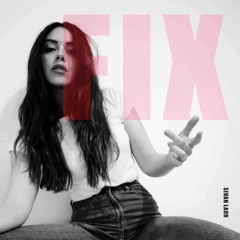 Fix - Sivan Laor