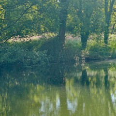 dancing body radio | mix 1 - matsu