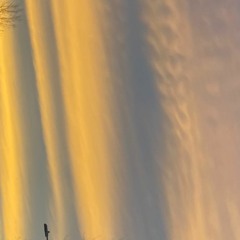 CASSYB X HOTEL LOBBY (Knarf Levy Edit)